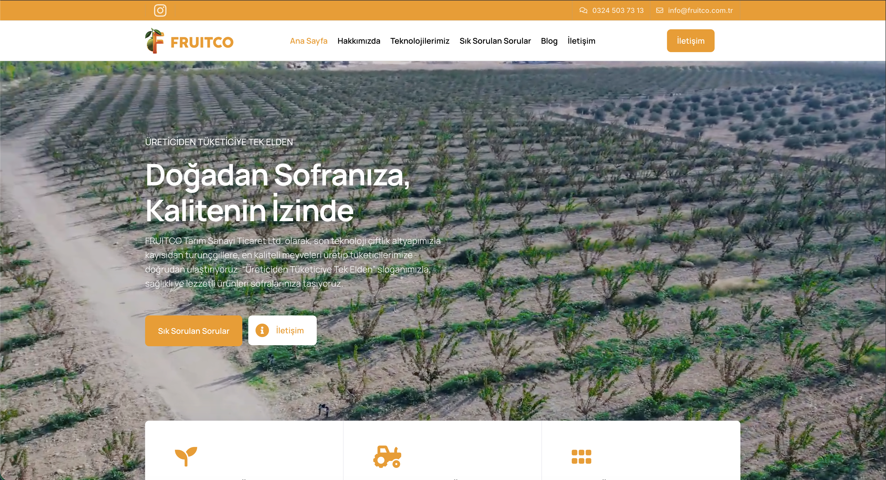 Fruitco web sitesi ekran görüntüsü